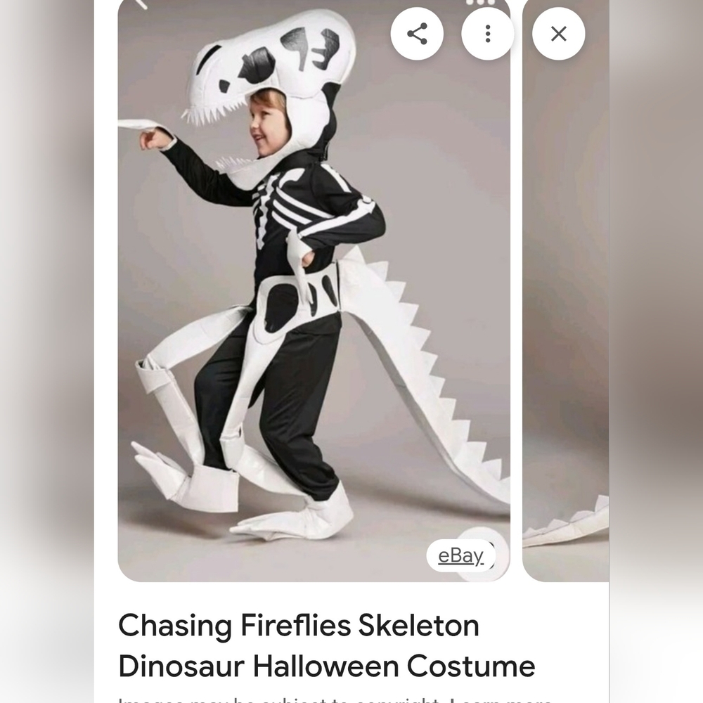 Chasing Fireflies Kids Dinosaur Skeleton Costume - Black and White